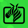 斑马视频v5.4.0绿化版支持弹幕TV投屏
